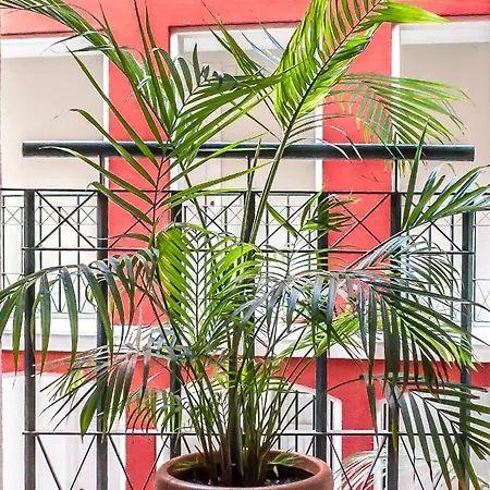 Apartament Conde Ibarra